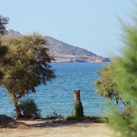 Seaside Paros - * נאוסה